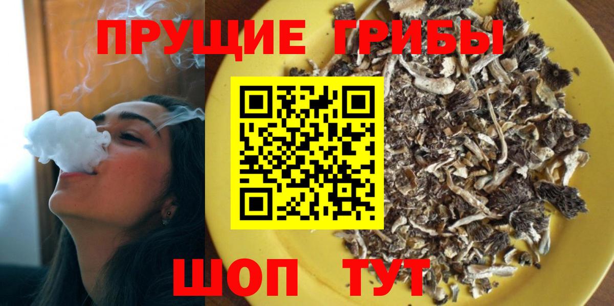 Галлюциногенные грибы Psilocybine cubensis Кинель