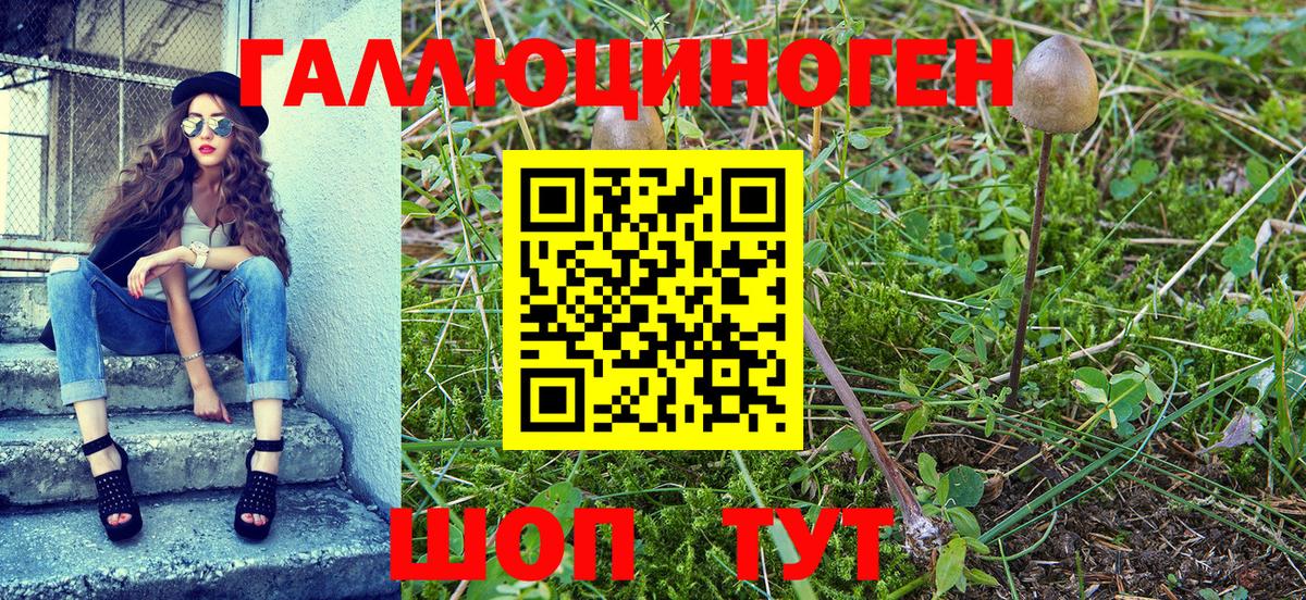 как найти закладки  Вход с VPN  Кинель  Галлюциногенные грибы MAGIC MUSHROOMS 
